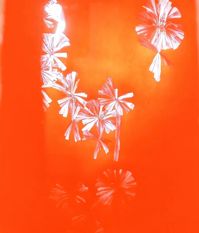 Second attempt time-lapse of zinc silicate crystals forming