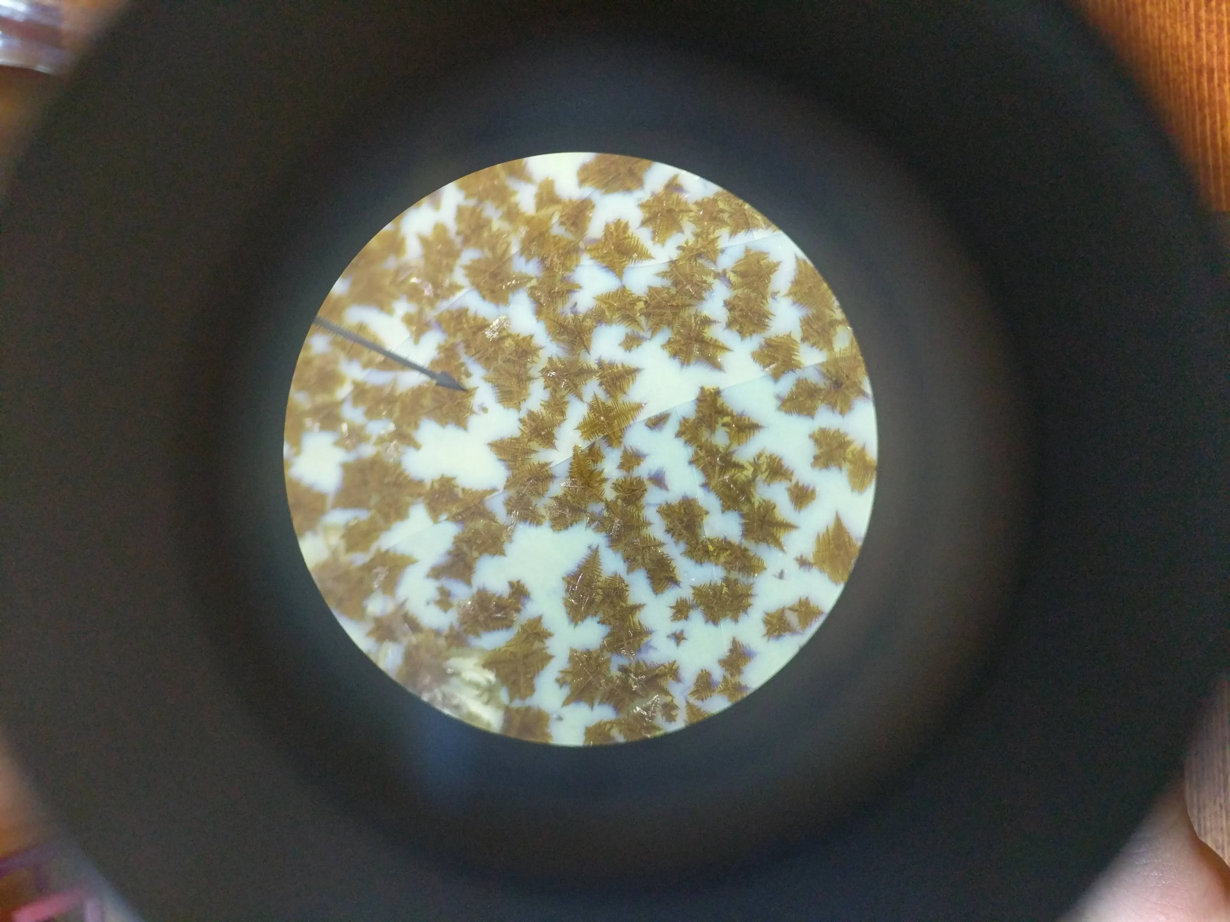 Microscope view of small crystal formations sample 2